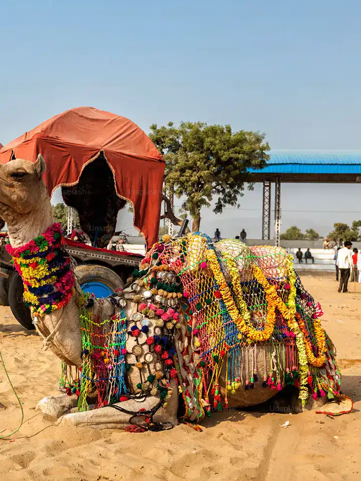 Pushkar, Rajasthan