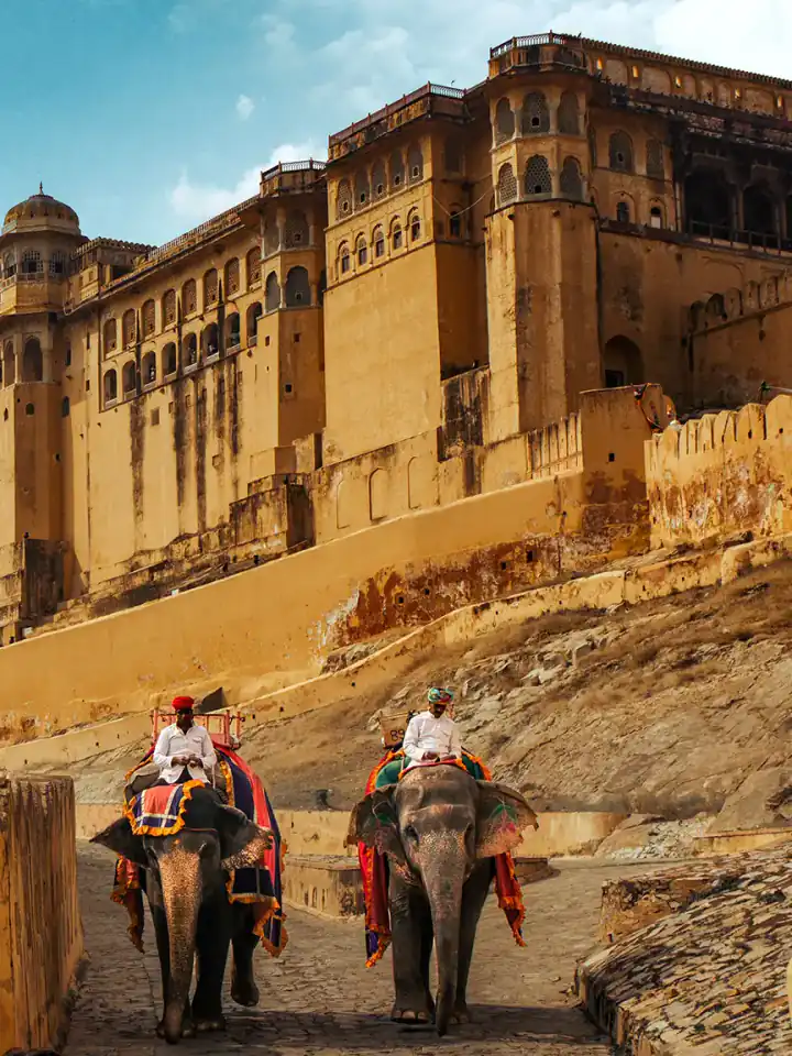 Elephants carrying visitors up to Amber Fort, Jaipur